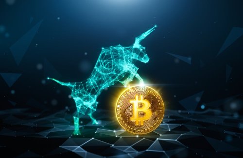 Bitcoin's Bull Run Is Unstoppable: 5 Experts Forecast Next Highs, Factors Driving the Market