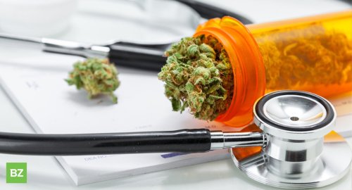 American Nurses Association Formally Recognizes Cannabis Nursing As A Specialty Practice