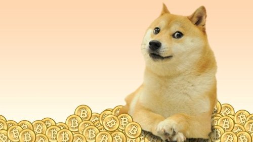 DOGE Is Now Among Top 10 Purchased Coins by BNB Whales