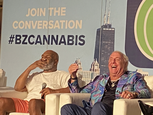 Ric Flair On Smoking Cannabis With Tyson And Snoop Dogg: Does Iron Mike ...