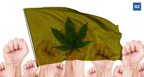 Workers At Two More Cannabis Companies Unionize With Teamsters And UFCW