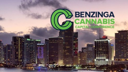 EXCLUSIVE: Florida On Cusp Of Adult-Use Legalization Cannabis Sales Boom, CEO Tells Benzinga Conference — 'It's Going To Be Huge'