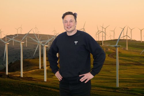 About 25% Of US Electricity Comes From Renewable Energy Sources: Elon Musk Has One Word To Say About It