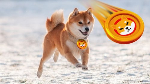 Shiba Inu Makes A Massive Move As The Crypto Climbs 28% In 24 Hours