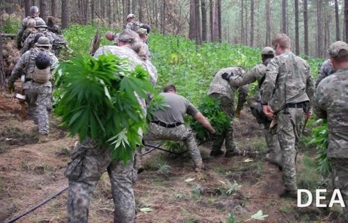 DEA Comes Out Of The Shadows To Ensure Cannabis Rescheduling Process Is Not Being Done Under 'Shroud Of Secrecy'