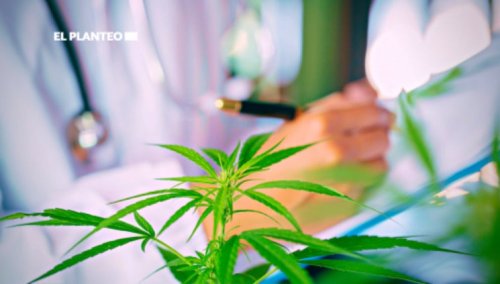High Treatment Admissions In States Banning Marijuana Amid Senior Usage Rise During COVID-19