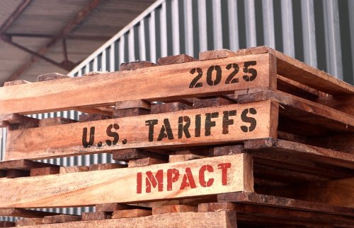 Cathie Wood Says She's Trusting Trump Will Get Call On Tariffs Right: 'Investors Shorting The Equity Market Now Will Be Caught Flat Footed Or Worse'