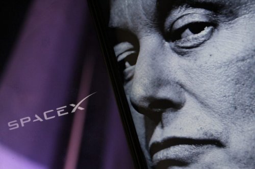 'Of Course I Still Love You:' How Crypto Investors Rode On Musk's Affectionate SpaceX Post To A Whopping 120x Windfall