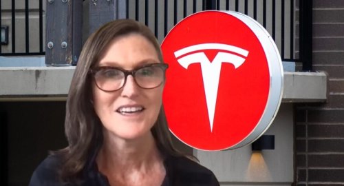 Cathie Wood's Ark Laps Up $3.3M Worth Of Tesla As Stock Falls For 3rd Straight Session, Sheds Shares Of This Sports Betting Company