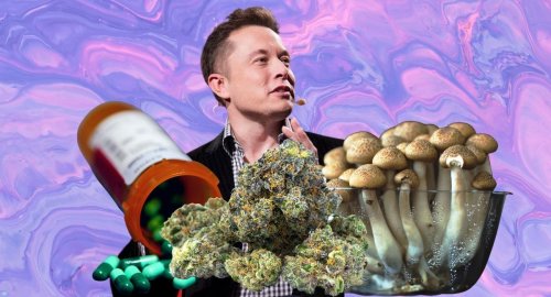 Elon Musk Calls This Drug The 'Most Troubling': Is It Marijuana, LSD, Speed, Or Caffeine?