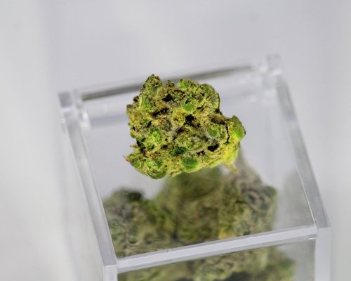A Look At Cannabis Terpenes: Myrcene