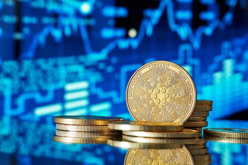 Cardano Whale Share Hits 6-Year High, But ADA Is Still Down 71% From The Highs