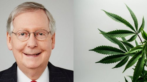 McConnell Pleased That 'Unrelated Nonsense' Like Cannabis Reform Wasn't In NDAA: What's Next?