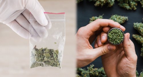 The Rise Of Synthetic Cannabinoids: A Threat To Natural Cannabis?