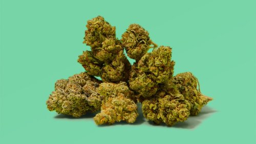 The Best Cannabis Strains Of All Time, According To Experts