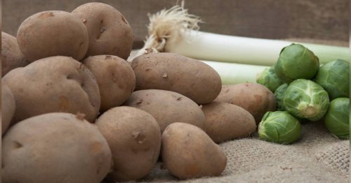 Leckeres Rezept für Rosenkohl: So einfach kochen Sie Kartoffel-Rosenkohl-Püree nach
