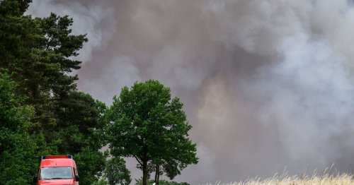 Schon wieder Evakuierungen wegen Waldbrand im Süden von Brandenburg: So dramatisch ist die Lage