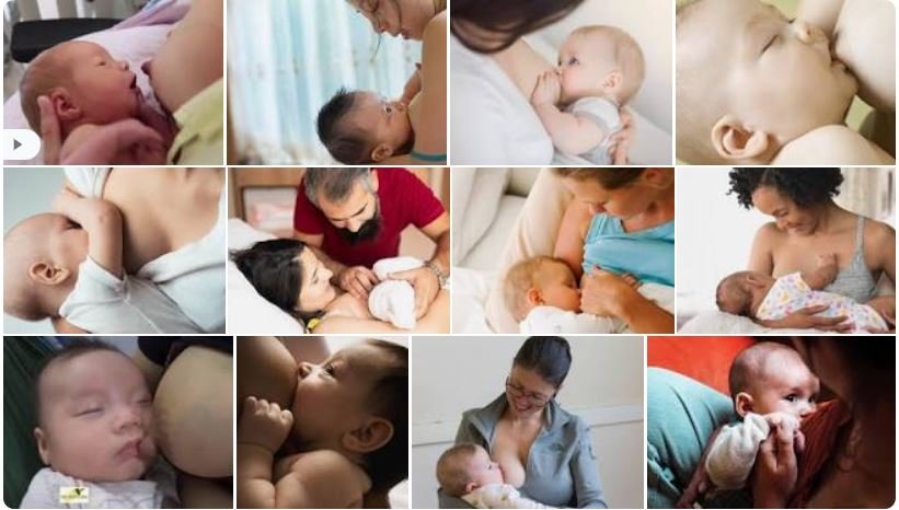 Breastfeeding cover image