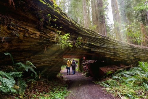 9 U.S. National Parks That Are Always Free to Visit