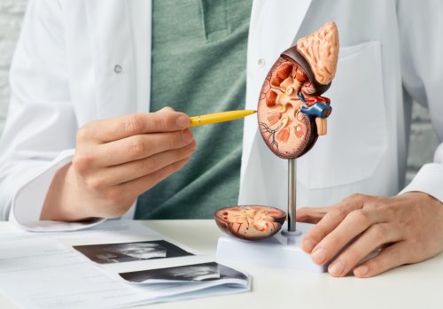 5 Supplements That Can Damage Your Kidneys, Doctors Say