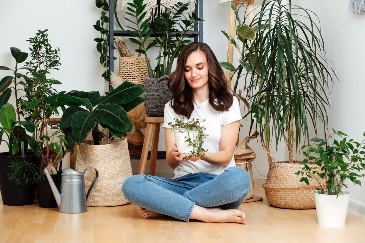5 Houseplants That Ward Off Negative Energy, Experts Say