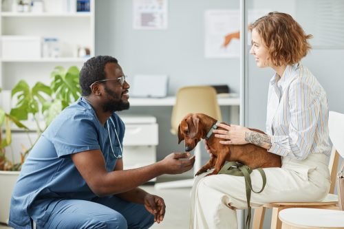 The 5 Biggest Mistakes Dog Owners Make at the Vet