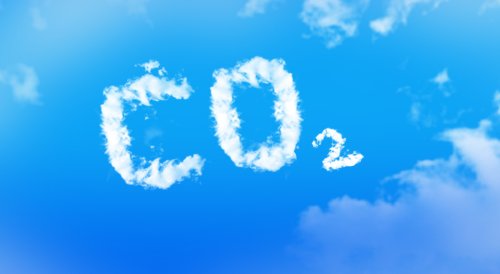 What is carbon emission and why do companies talk about it so much?