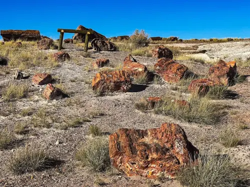 15 Amazing Things to Do in Petrified Forest National Park