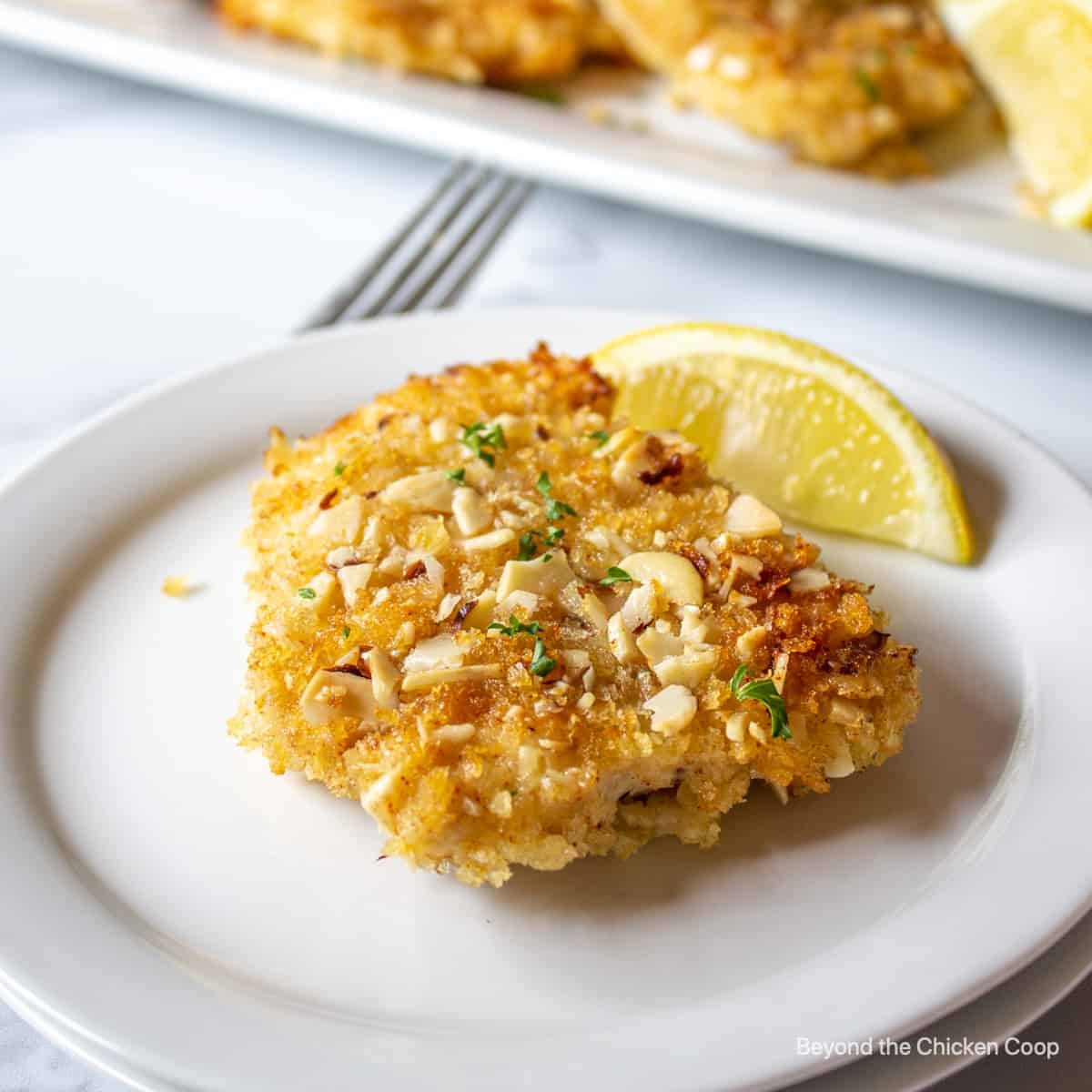 Almond Crusted Fish