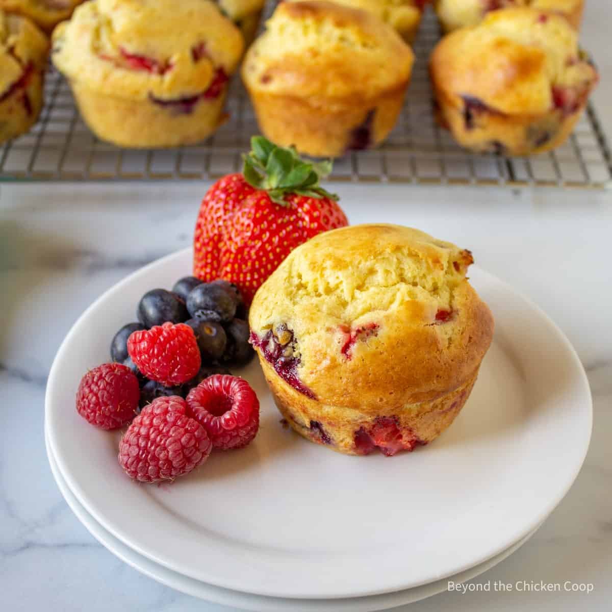 Triple Berry Muffins