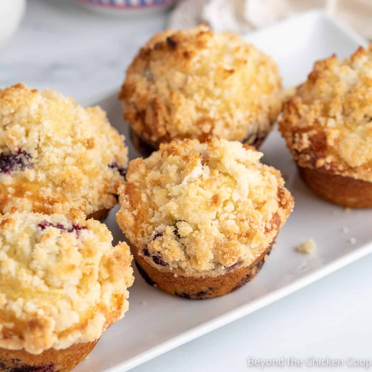 Buttermilk Blueberry Muffins