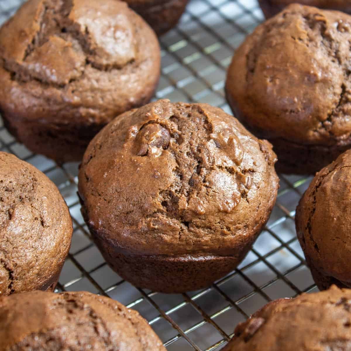 Triple Chocolate Muffins