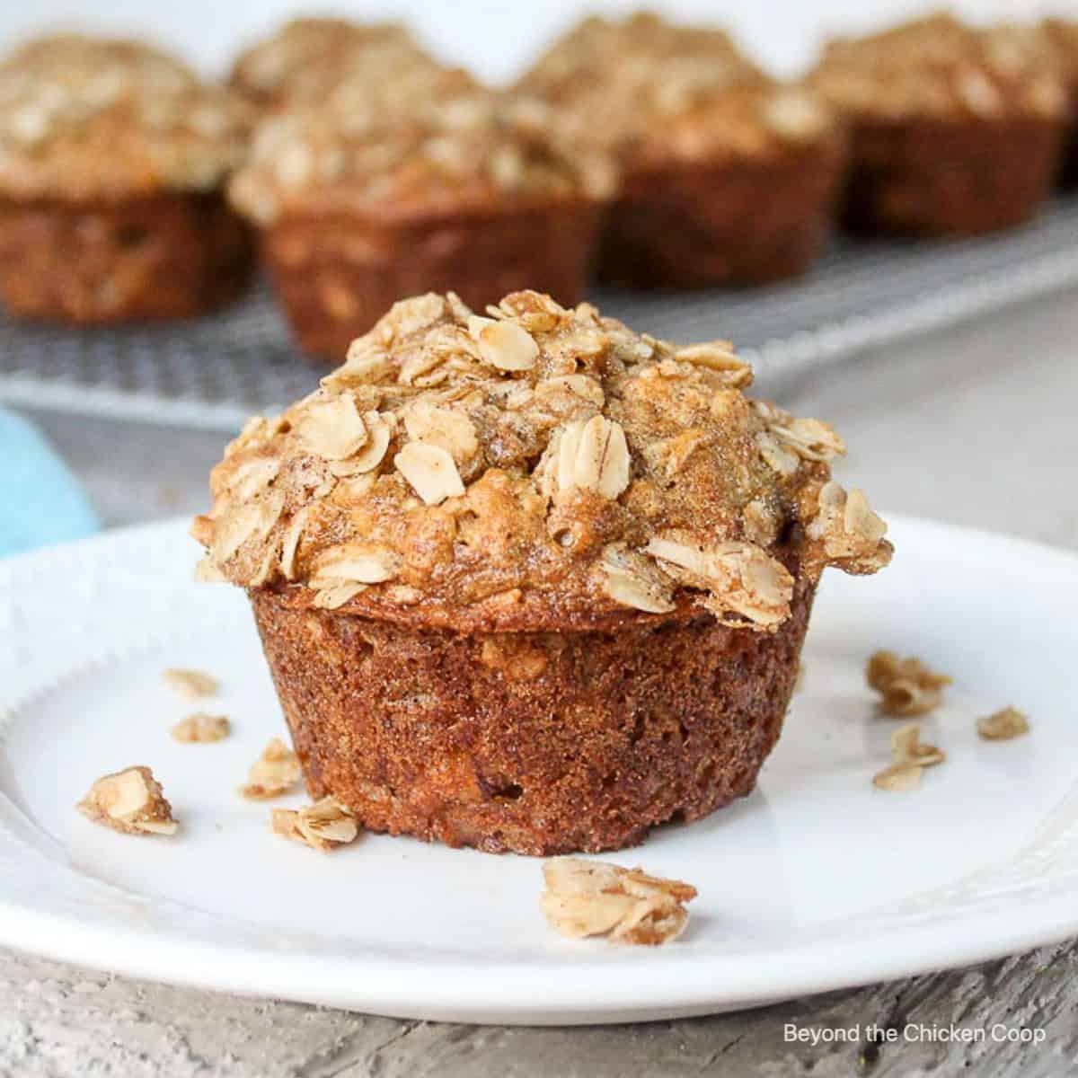 Banana Oatmeal Muffins