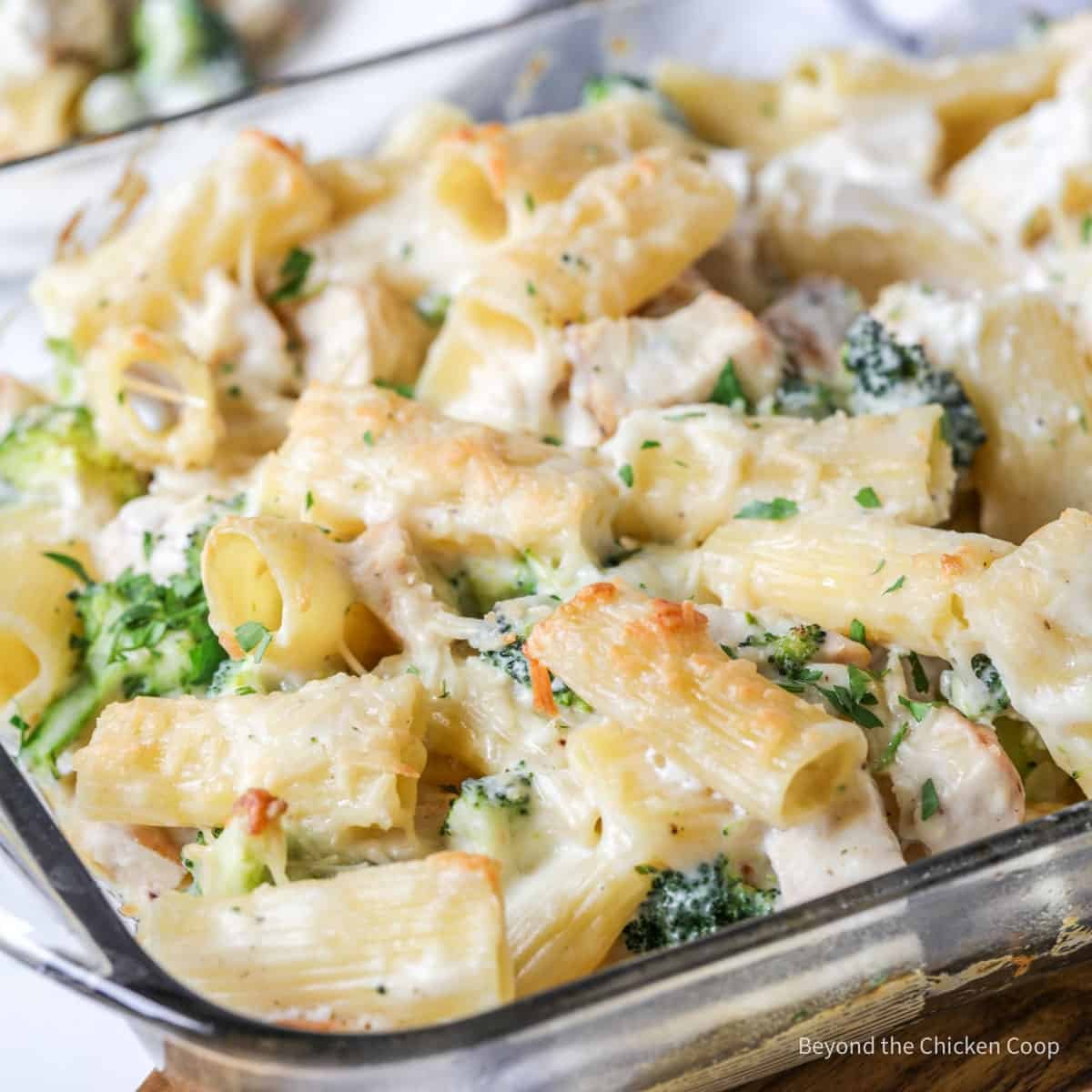 Chicken Broccoli Alfredo Bake