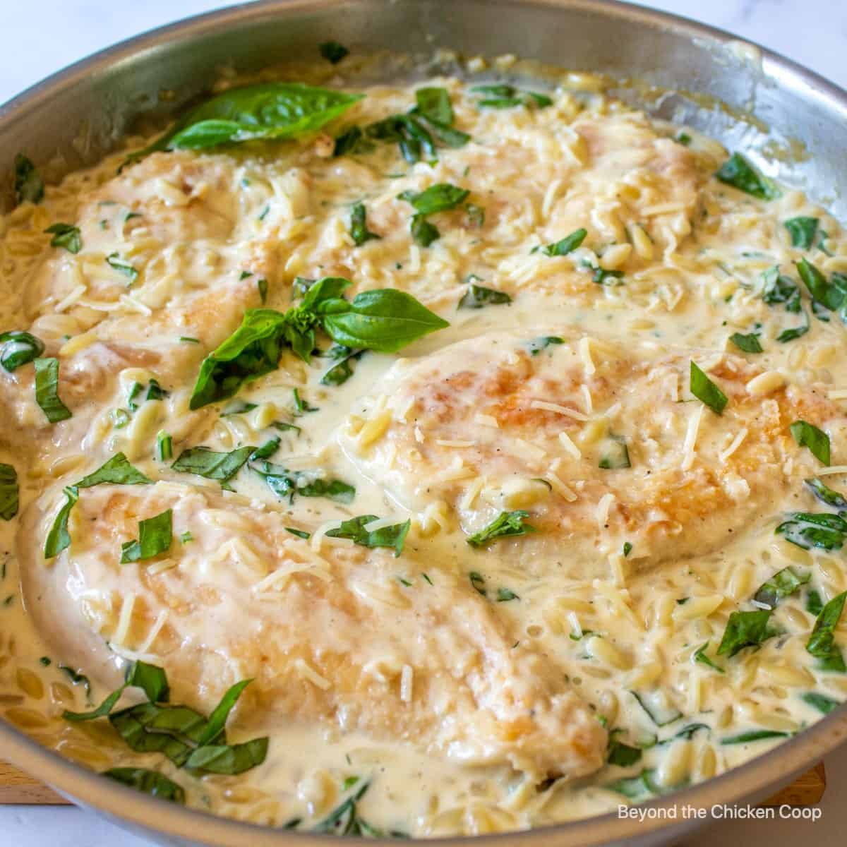 Creamy Chicken Orzo