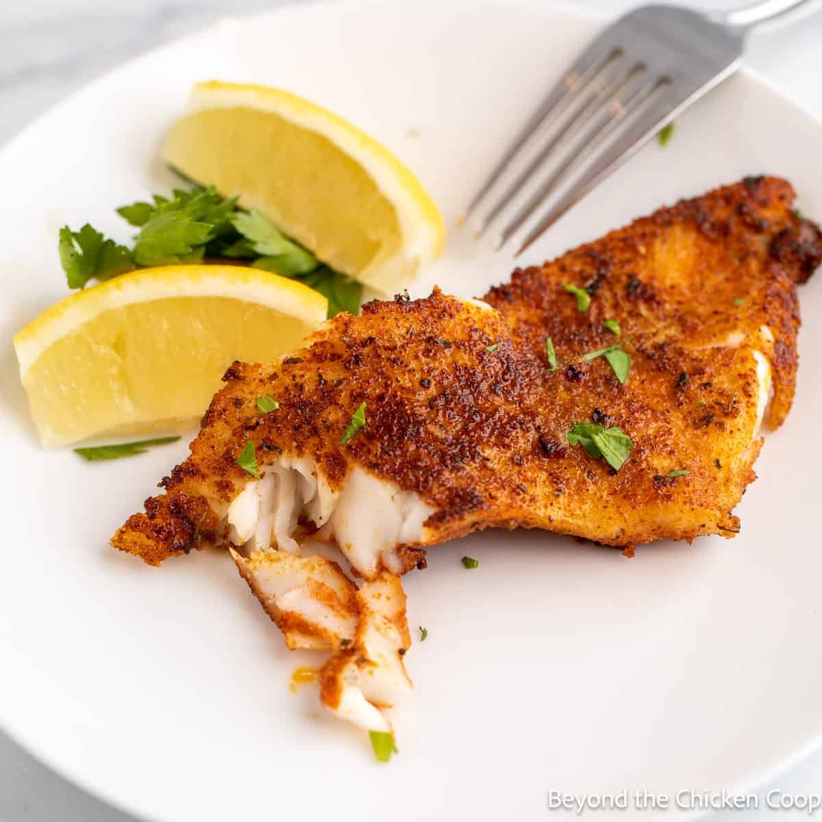 Blackened Walleye