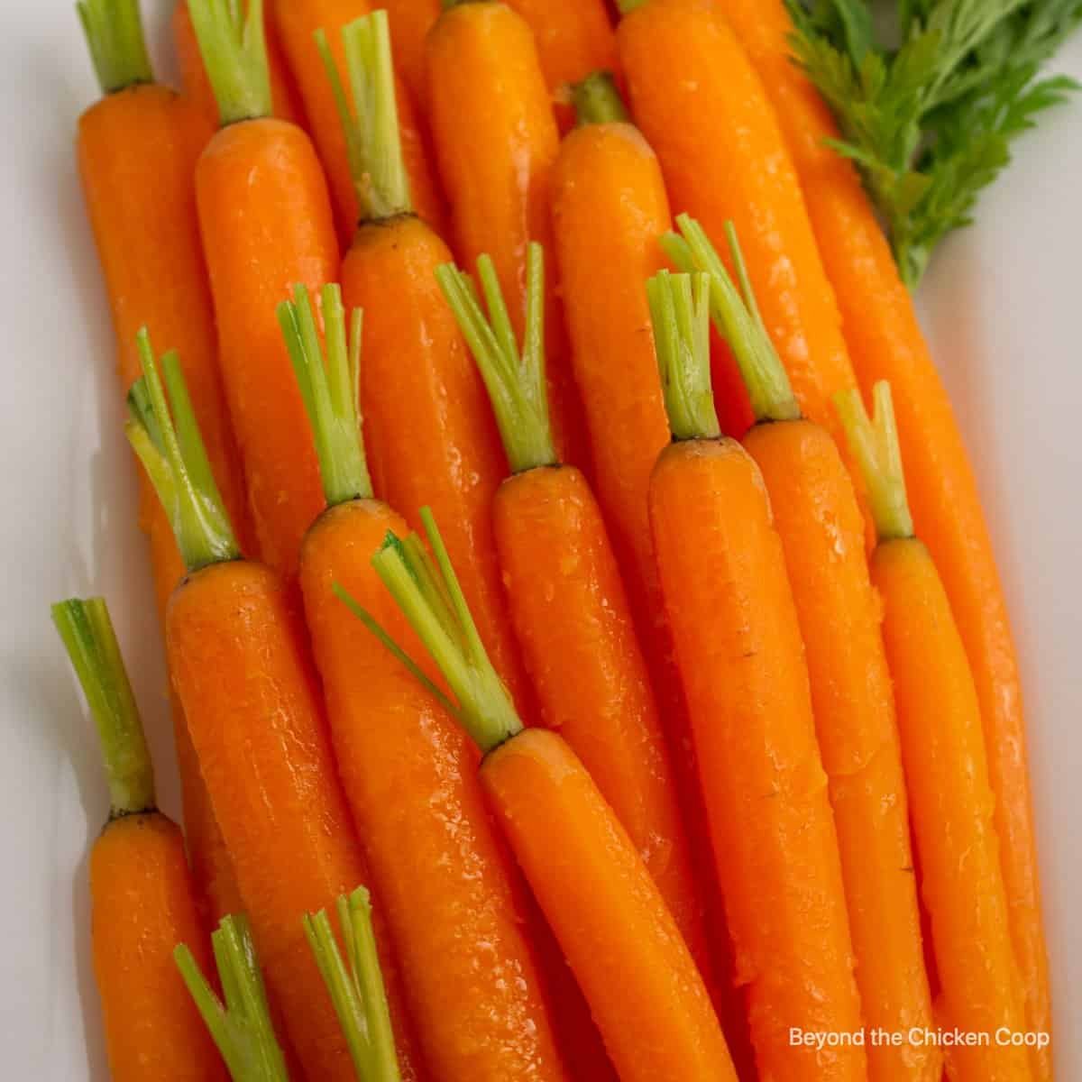 Honey Ginger Carrots