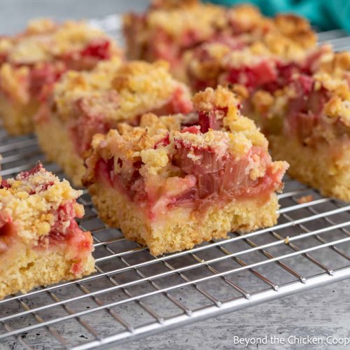 Rhubarb Bars