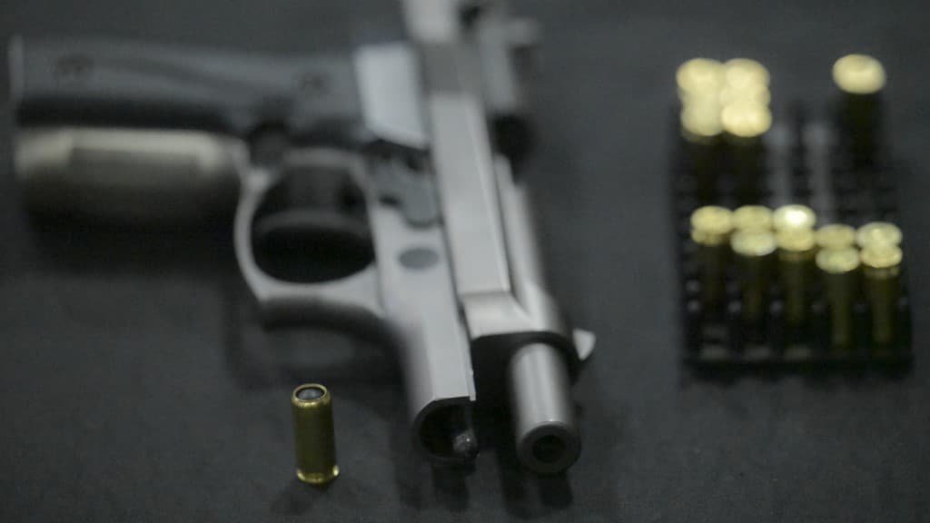 The Security Liability of State Databases: Analyzing the French Firearms Data Breach