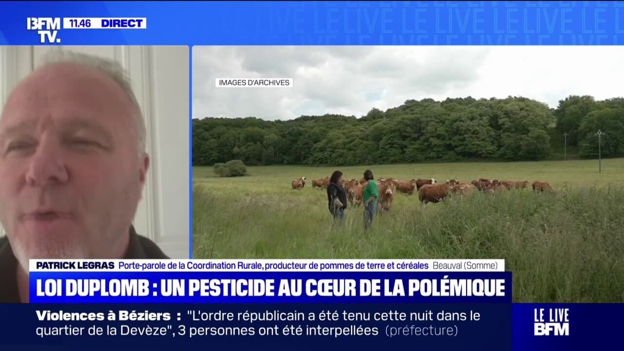 Pétition contre la loi Duplomb: « L’Anses a voulu faire du zèle en supprimant un grand nombre de produits autorisés en Europe », estime Patrick Legras (Coordination rurale)