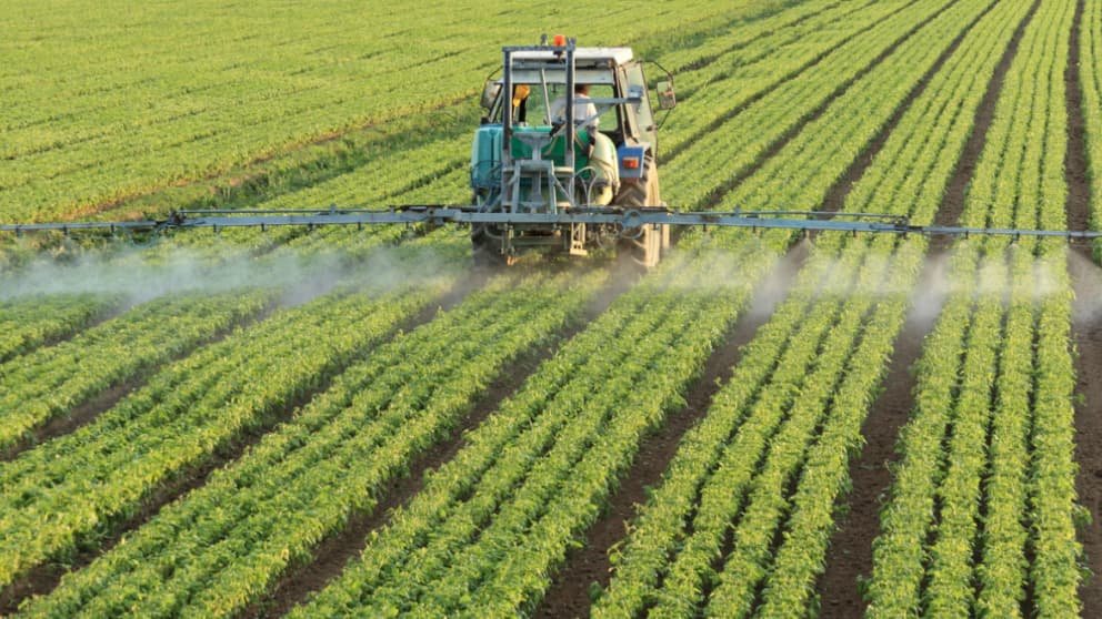 Biodiversité: une étude pointe les effets délétères des pesticides sur les espèces qu’ils ne ciblent pas