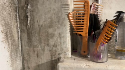 "Je tousse en permanence": le cauchemar d'une Lyonnaise qui vit dans un appartement rempli de moisissures