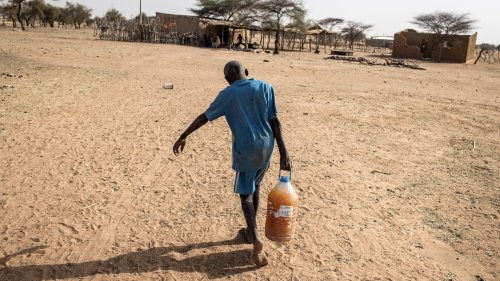 Plus de 45°C, de nombreux morts: la vague de chaleur au Sahel liée au changement climatique "d'origine humaine", selon un rapport