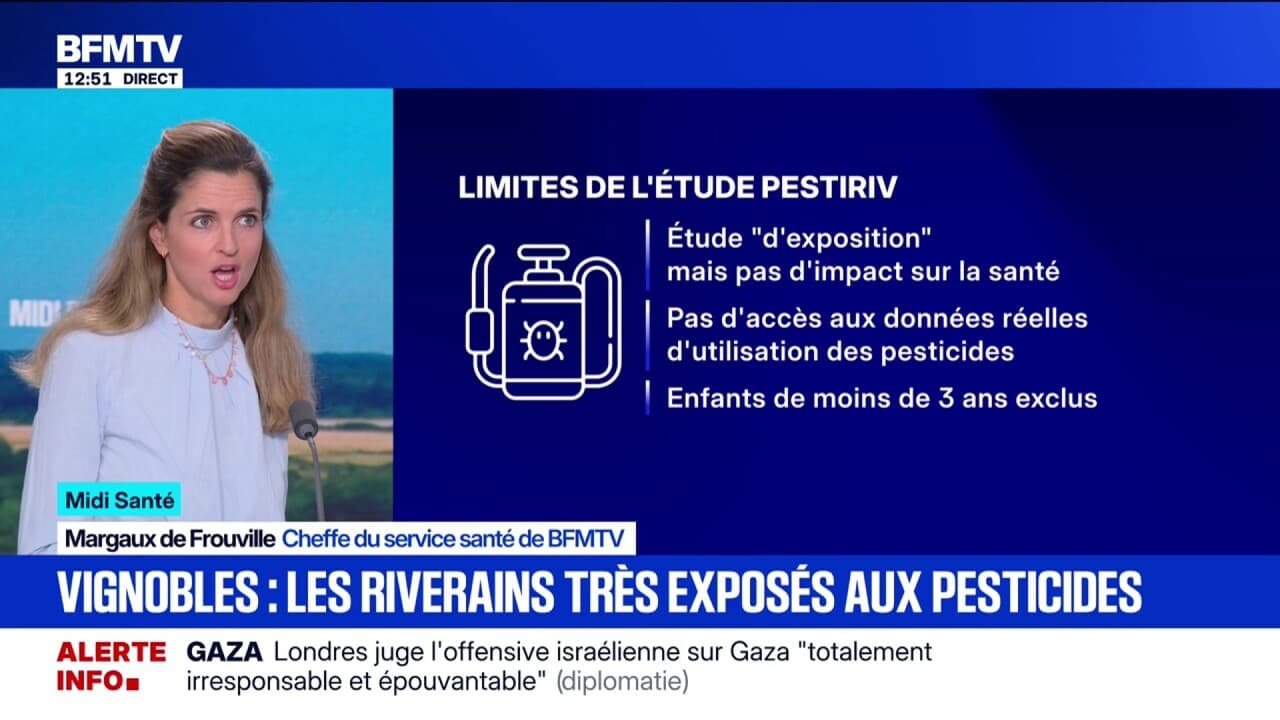 Les riverains qui vivent près des vignes sont surexposés aux pesticides, selon une étude de Santé publique France et l’Anses