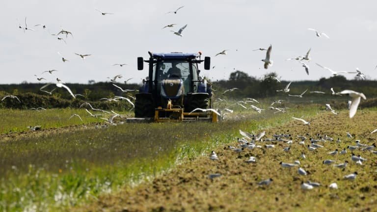 « On doit se débrouiller »: une cagnotte pour soutenir un agriculteur avant qu’un rein de sa femme ne lui soit greffé