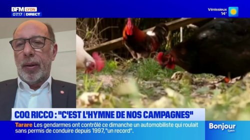 Nord-Isère: au cœur du procès du coq Ricco qui s'ouvre ce mardi, l'identité des campagnes questionnée