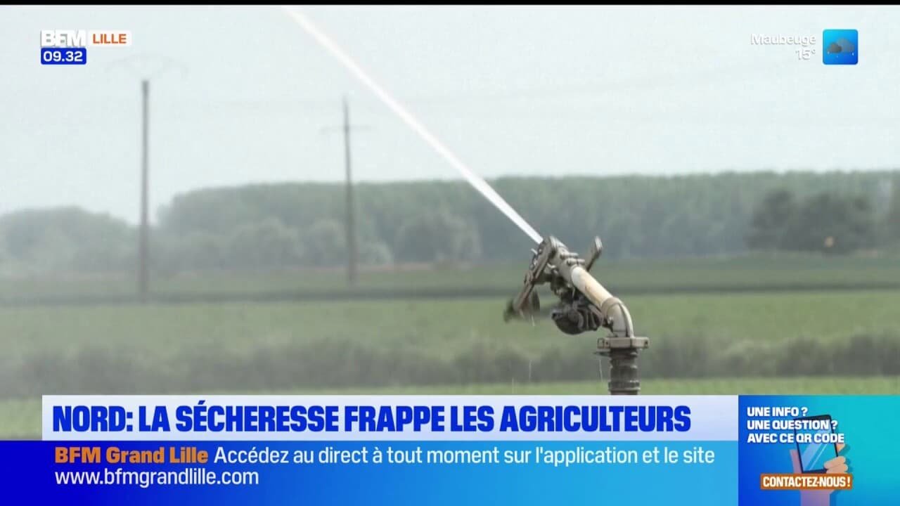 Nord: les agriculteurs s’en remettent à l’irrigation pour contrer la sécheresse