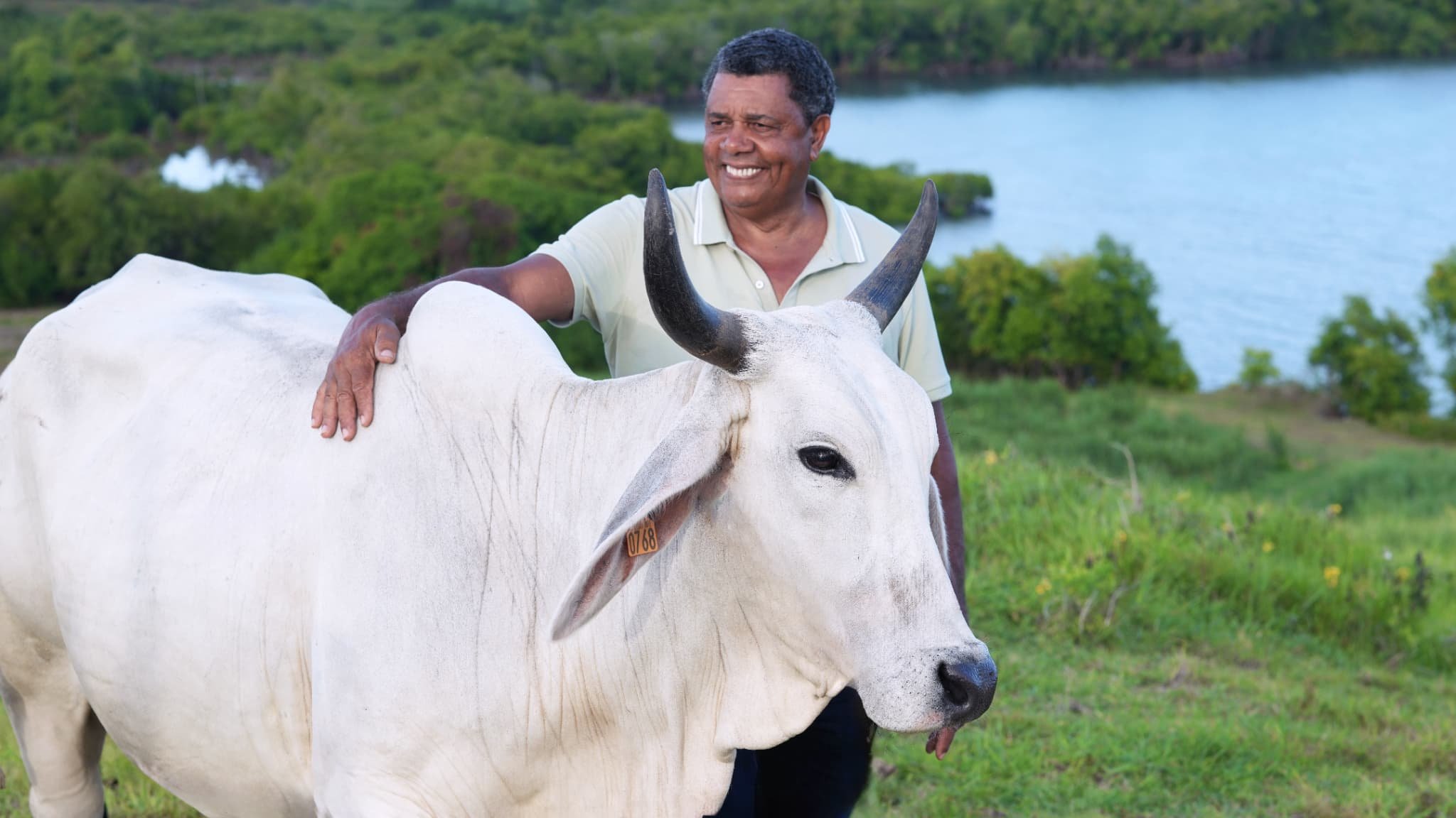« La déception est profonde »: sans bovin au Salon de l&rsquo;agriculture, la vache égérie martiniquaise Biguine perd sa vitrine