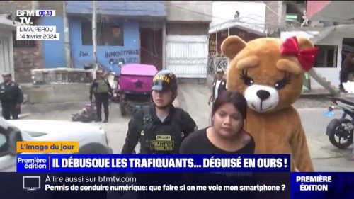 Quand la police péruvienne se déguise en ours en peluche pour arrêter les narcotrafiquants