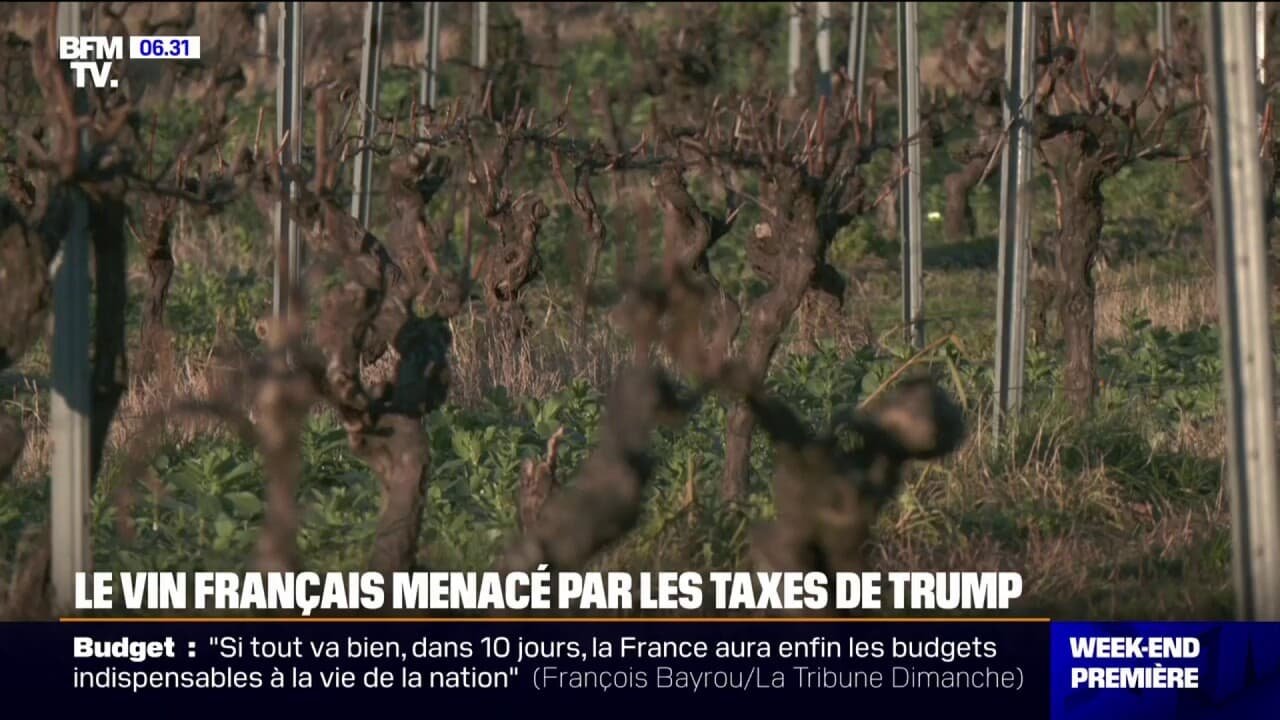 Les viticulteurs français redoutent une nouvelle taxe à l’export vers les États-Unis